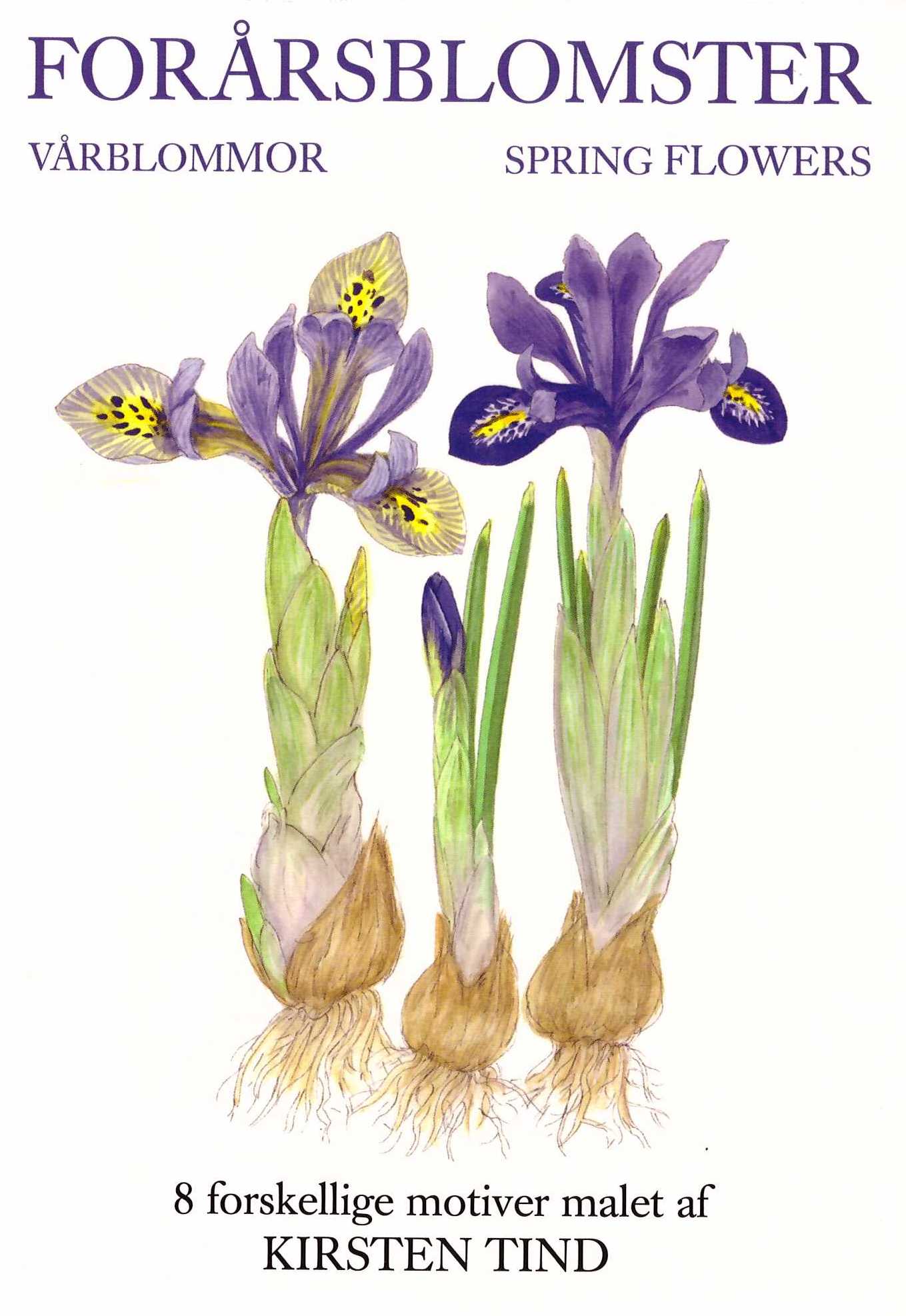 Forårsblomster